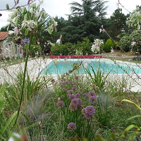 Villa Entiere Du Chateau Lacroix De Civrac 3 Ch, 3 Sdb, Piscine Xxl,Sauna, 4 Etoiles,7 Pers Eksteriør billede
